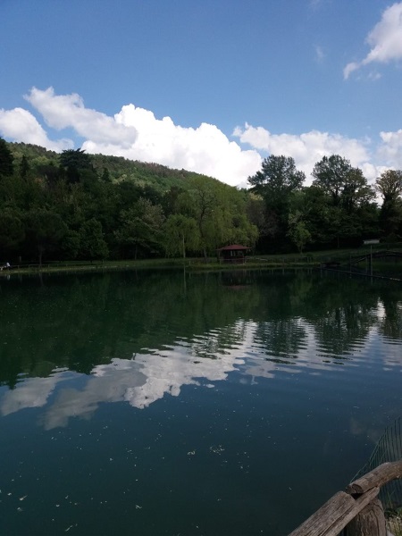 Lago Viola